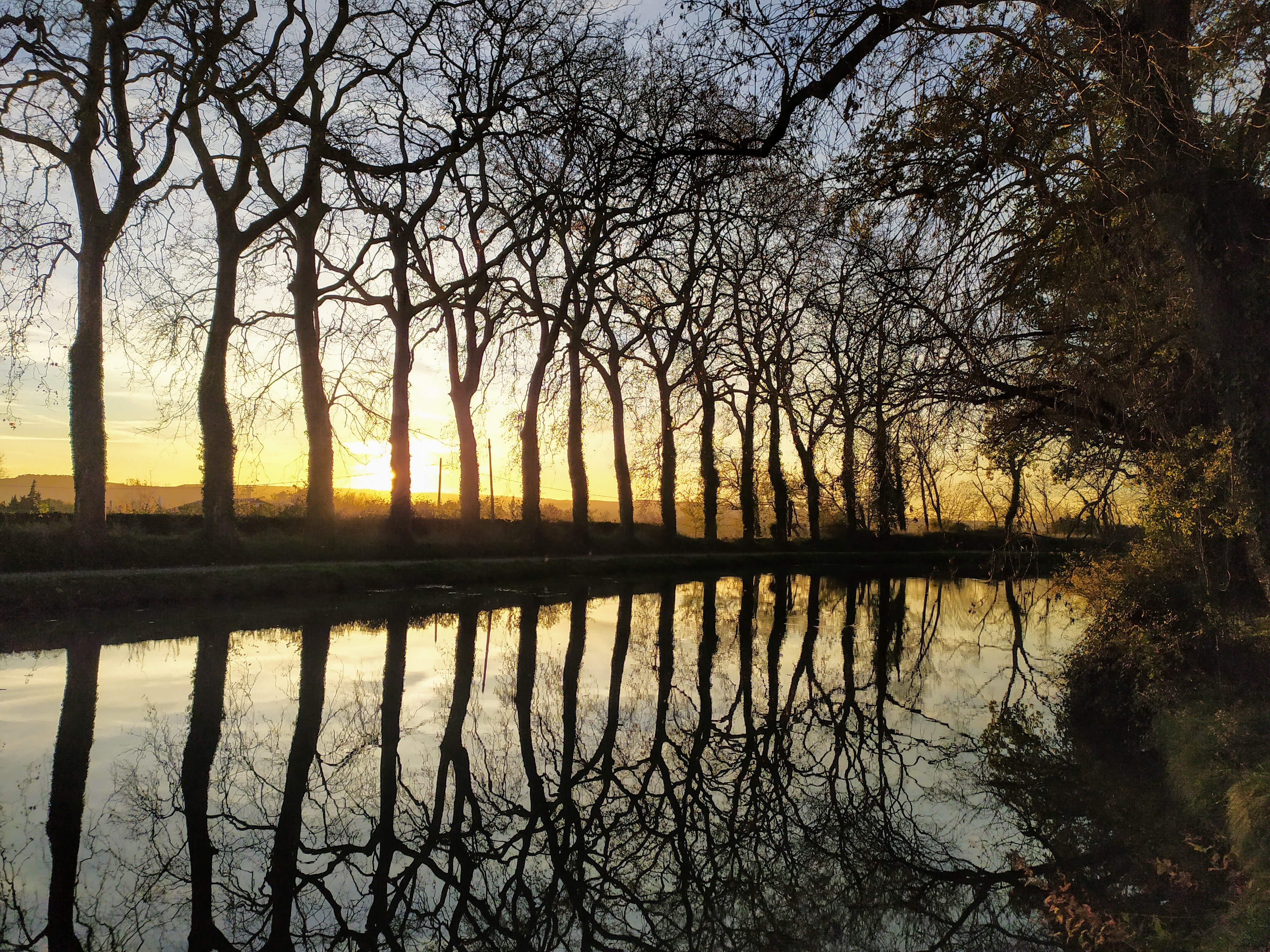 Actualités Green Patio